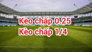Tìm Hiểu Kèo Chấp 0.25 Và Cách Nhận Diện Cơ Hội Trong Trận Đấu