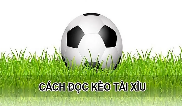 Cách Chơi Kèo Tài Xỉu Trong Bóng Đá Để Tối Ưu Hóa Lợi Nhuận