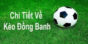 Hướng Dẫn Cách Chơi Kèo Đồng Banh Bóng Đá Cực Kỳ Đơn Giản