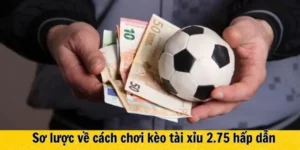 Cách Chơi Kèo 2.75 Trong Bóng Đá Và Những Chiến Thuật Đầu Tư Thông Minh