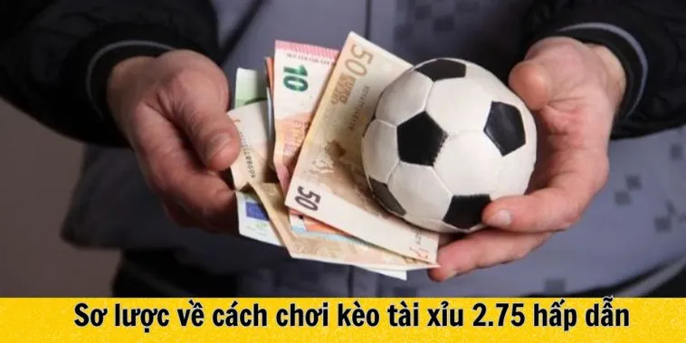 Cách Chơi Kèo 2.75 Trong Bóng Đá Và Những Chiến Thuật Đầu Tư Thông Minh