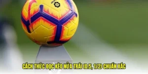 Phân Tích Kèo Chấp 0.5 Và Bí Quyết Nhận Định Trận Đấu Hiệu Quả
